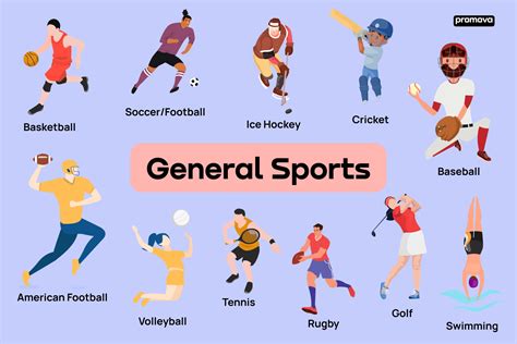 Les Differents Types De Sports