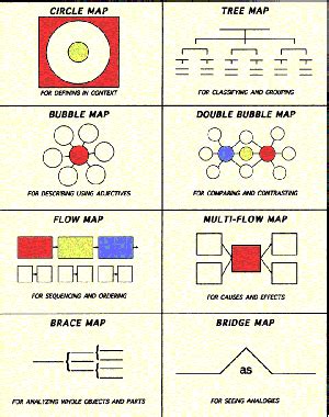 Curriculum / Thinking Maps