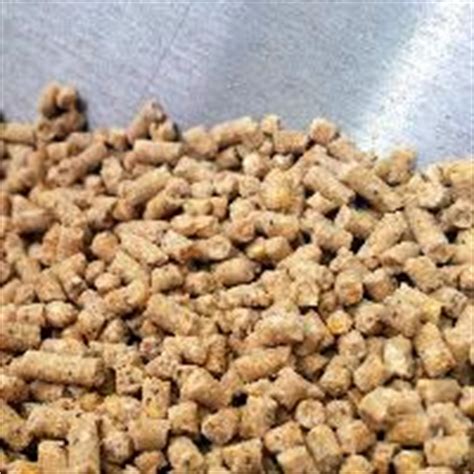 Poultry Feed Ingredients - Manufacturers, Suppliers & Exporters in India