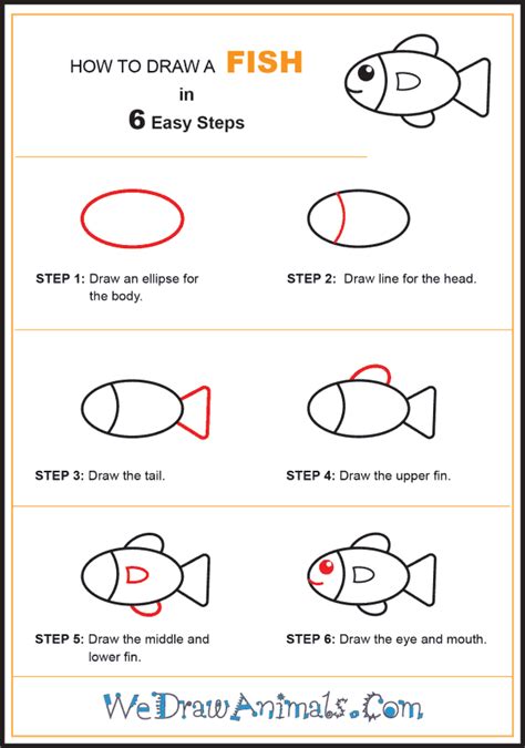 How to Draw a Simple Fish for Kids