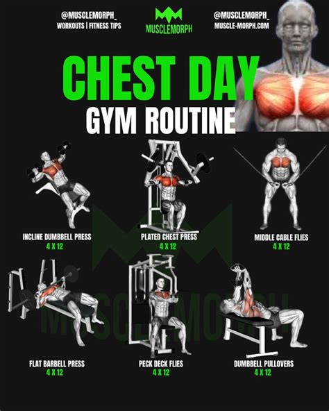 CHEST WORKOUT GYM | Chest workout for men, Chest workout, Chest and ...