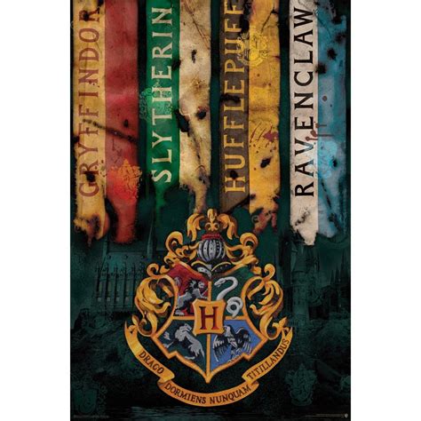 Harry Potter Hogwarts House Flags Poster | BIG W