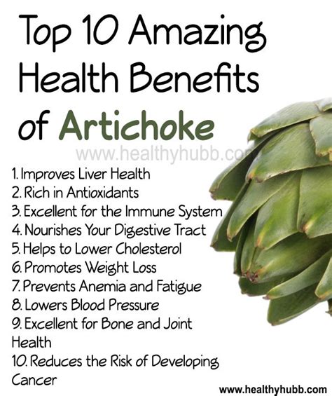 The 25+ best Artichoke benefits ideas on Pinterest