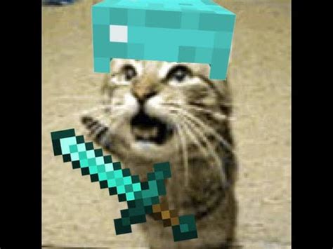 (Meowsynth) Cat - Minecraft - YouTube