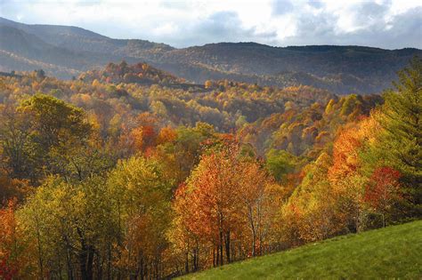 The 5 best states for fall foliage this autumn