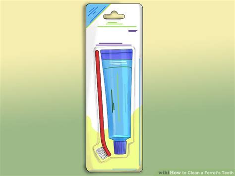 3 Ways to Clean a Ferret's Teeth - wikiHow