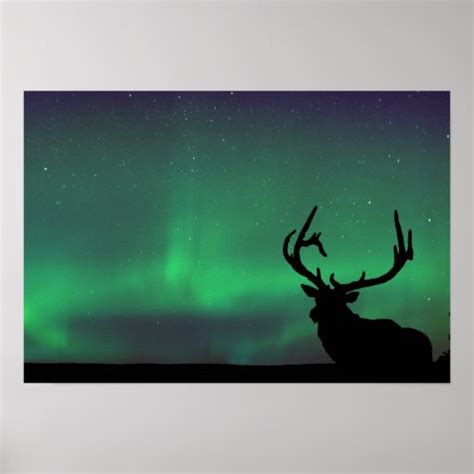 Northern Lights poster | Zazzle