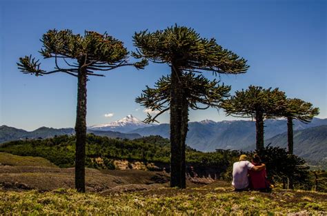 Temuco and Lago Budi - Chile Travel