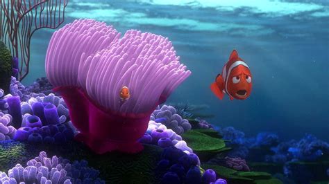 Finding Nemo Zoom Wallpapers - Free Finding Nemo Zoom Backgrounds - WallpapersHigh