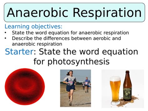 KS3 ~ Year 8 ~ Anaerobic Respiration | Teaching Resources