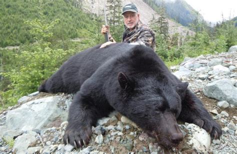 Black Bear Hunting | North Vancouver Island Hunting Guides & Outfitters ...