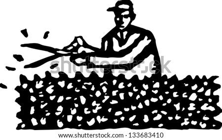 Hedge Trimming Stock Vectors & Vector Clip Art | Shutterstock