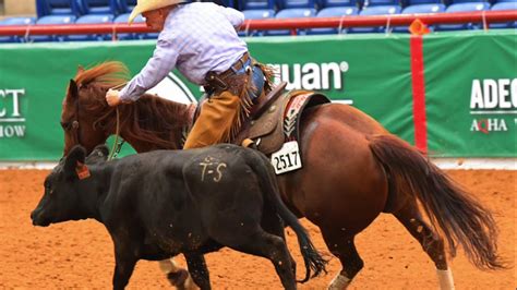 2019 AQHA Select Working Cow Horse - YouTube