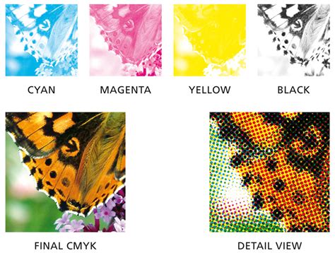 Everything You Need to Know About CMYK Printing