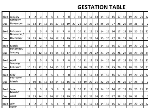 Cattle Gestation Chart: A Breeders Essential Guide