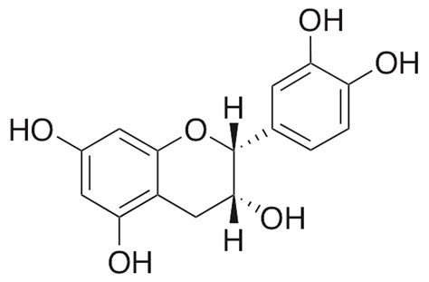 (−)-Epicatechin - LKT Labs