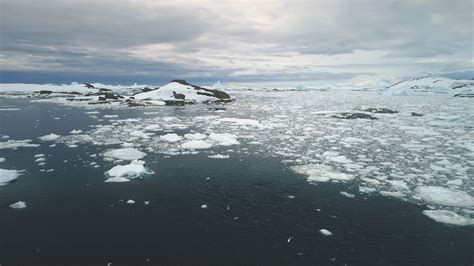 Penguins Jumping In Ice Ocean Antarctica Stock Footage SBV-348409961 ...