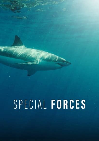 Watch Special Forces - Free TV Shows | Tubi