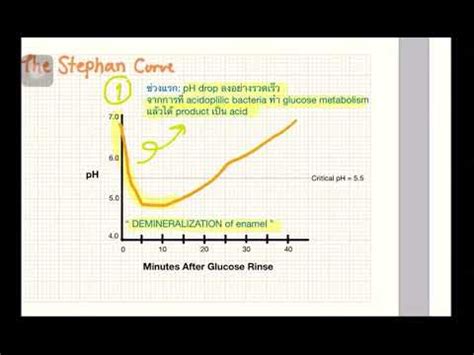 stephan curve - YouTube