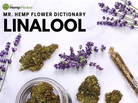 Linalool Terpene Review: What Is It And What It Does