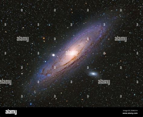 The Andromeda Galaxy (Messier 31, NGC 224) a barred spiral galaxy and the nearest large galaxy ...