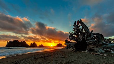 La Push Beach - All You Need to Know BEFORE You Go (2024)