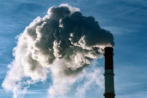 One in five premature deaths tied to fossil fuel pollution - Earth.com