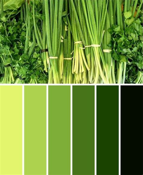 green color palette with lots of different vegetables