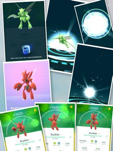 Evolution! | Pokemon GO Amino