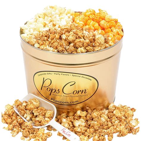 Gourmet Popcorn Tin-2 LARGE GALLONS-3 FLAVORS-THE PERFECT GIFT!! FREE SANITARY SCOOPER ...