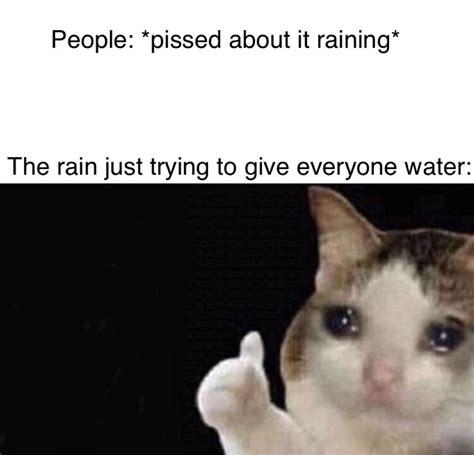 Rain doesn't deserve the hate : r/raining