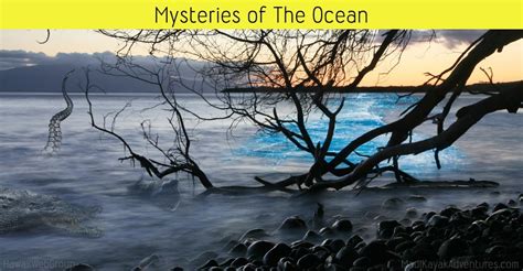 Mysteries of the Ocean