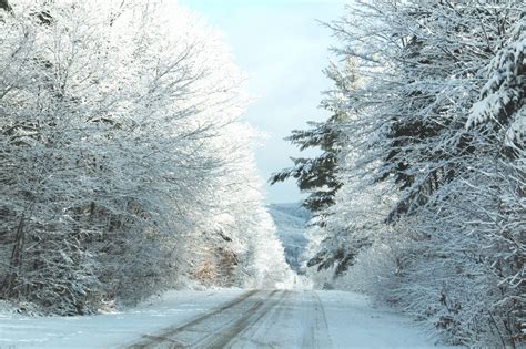 McLean Road, Maple Leaf, hamlet north east of Bancroft, Ontario. Photo by Lynda Thomson ...