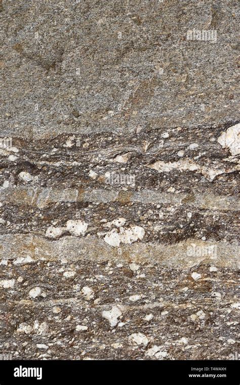 Gneiss stone texture - background Stock Photo - Alamy