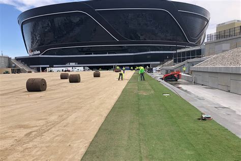 Raiders’ Allegiant Stadium gets first grass laid on field tray ...