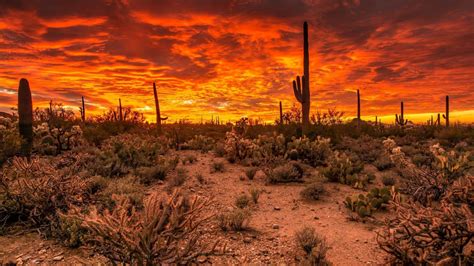 Desert Full HD Wallpaper and Background x ID | Arizona sunset, Arizona ...