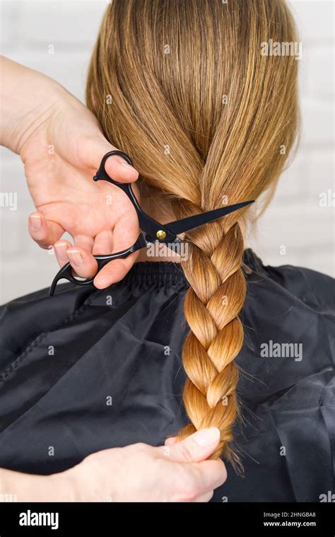 woman hair donations for people with cancer. Concept of hair donation. cutting off long braided ...