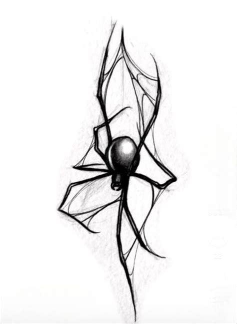 a black and white drawing of a spider