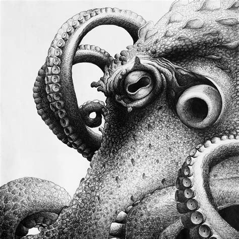 IMG_2361.JPG (1600×1600) | Octopus drawing, Octopus tattoo design, Octopus