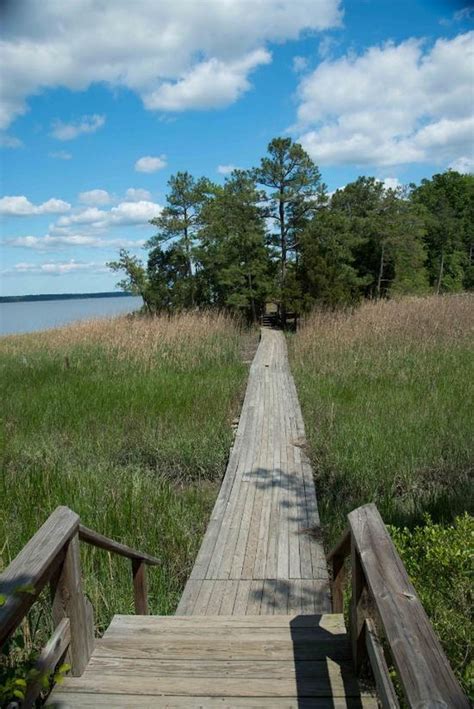 York River State Park Features An Awesome Boardwalk Hike