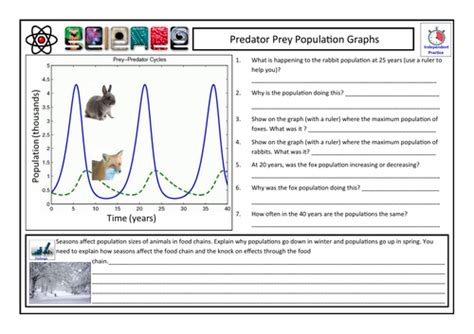 Predator Prey Population Graphs CLF Lesson - Lesson 7 - KS4 BIOLOGY | Teaching Resources