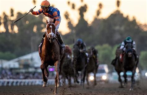 Camarero Race Track Entries & Results for Monday, 11-11-2019