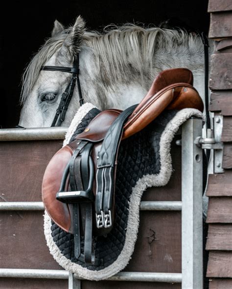 The Tumpy Green Equestrian Centre Photoshoot — Reflex Image Photography ...