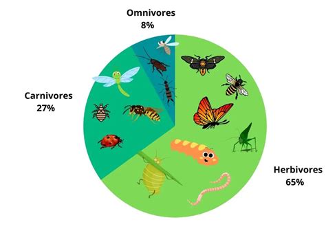 Are Insects Herbivores? (Answered And Explained!) – Outlife Expert