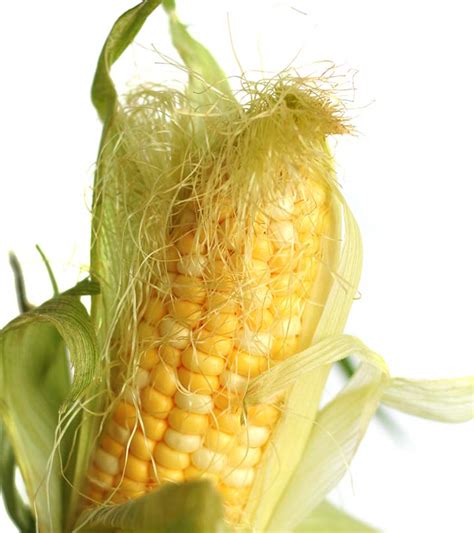 10 Amazing Benefits Of Corn Silk