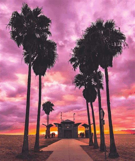 Variette | California wallpaper, Palm tree sunset, Scenery photography