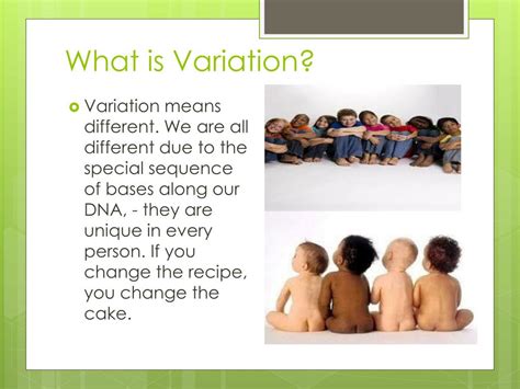 Variation Meaning