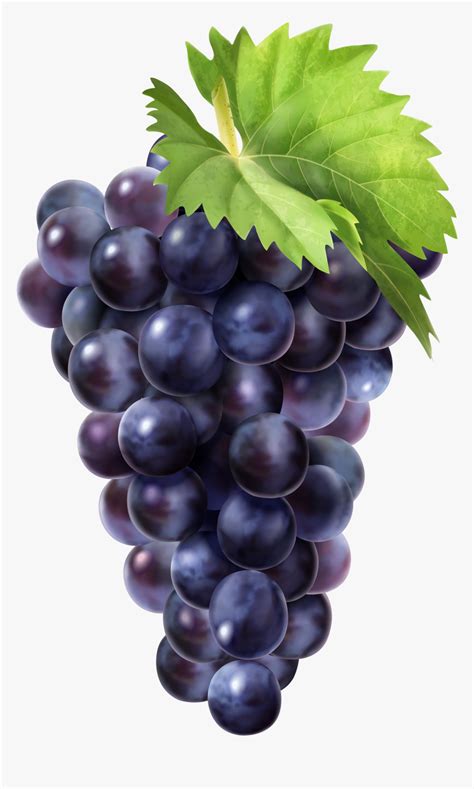 Black Grapes Clip Art - Blvk Unicorn Fruit Box Unigrape, HD Png Download - kindpng