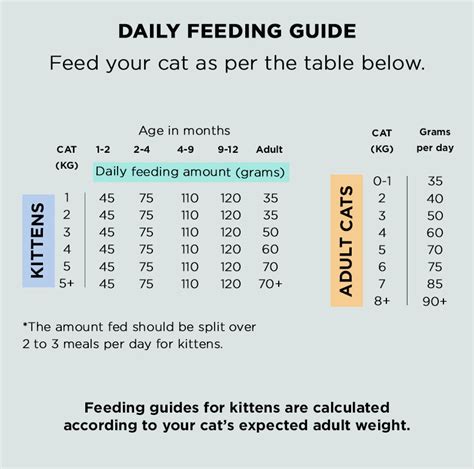 Dry Raw Food Feeding Guide | The Innocent Hound