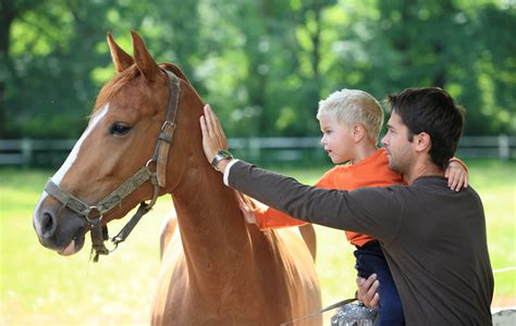 Equine Therapy - Rock Your Family